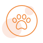 動(dòng)物版權(quán)登記