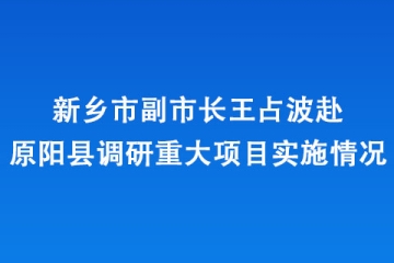 新鄉市副市長王占波赴原陽縣調研重大項目實施情況